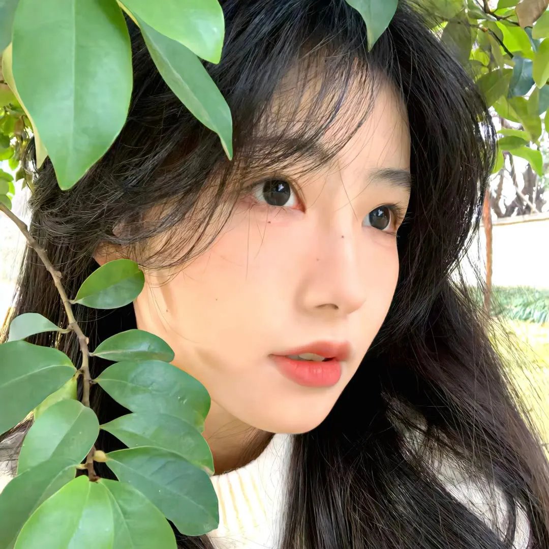 狗不理传奇